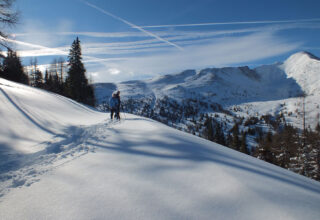 Sparwochen im Schnee