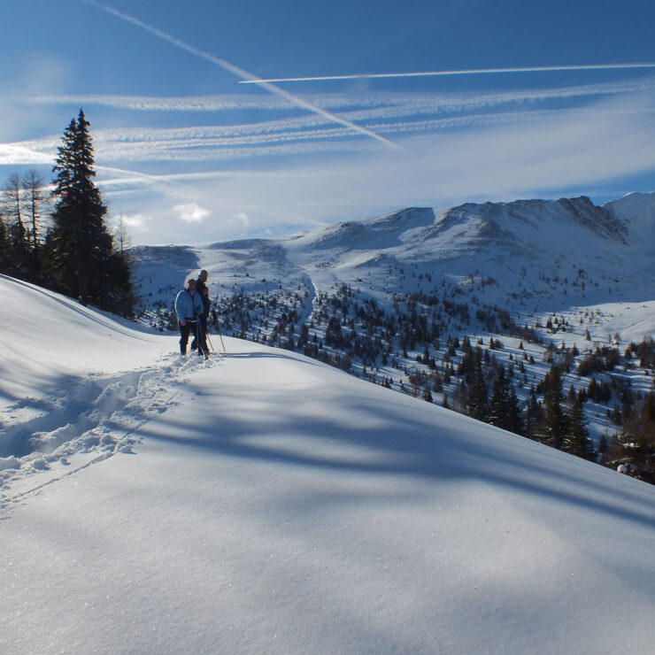 Sparwochen im Schnee