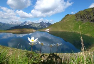 Sparwochen im Frühling und Herbst