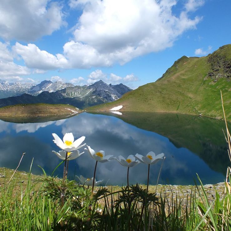 Sparwochen im Frühling und Herbst